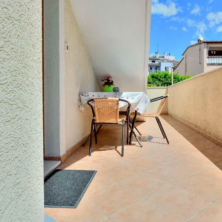 With Terrace Appartement *