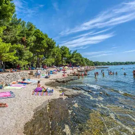 Appartement With Terrace