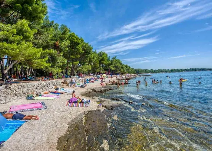 아파트 With Terrace